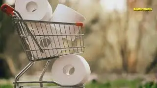 Klopapier Song Samba