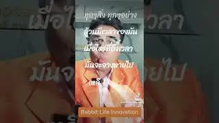 #rabbit Rabbit Life Innovation Financial Group