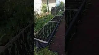 Как снова стать здоровым?