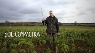 GREATsoils: The Soil Compaction Test