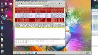 Messing with Indian Windows Scammer - Tracing IP address
