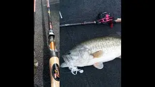 Best rod under $50.(BERKLEY LIGHTNING SHOCK ROD)