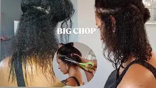 Big chop, cachos 4a , transi&ccedil;&atilde;o capilar 