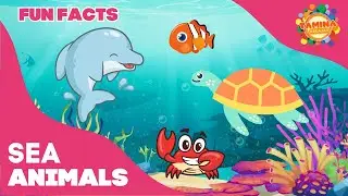 Sea Animals for Kids : Dolphin, Clown Fish, Crab, Sea Turtle | Educational Videos for Kids