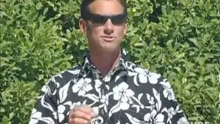 The Surfer's Journal Biographies : Robert August and Wingnut