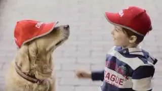 DEKRA Freunde fürs Leben