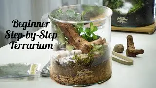 How to make a close terrarium - Beginner&rsquo;s Step-by-Step guide