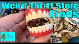 Insane Thrift Store Finds!!! WeIrD Vintage Kitsch !