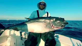 Bluefin Tuna Topwater and Jigging Action with TAK Waterman
