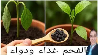 5 استخدامات مذهلة للفحم في الزراعة! معلقة واحدة تعالج عفن الجذور وتغذي التربة!