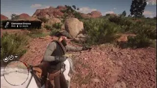 RDR2 Rio Grande Wild Turkey Location 2021