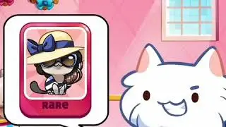 Cat Game! - The Cats Collector! - Challenge your friends! #1