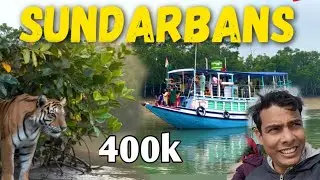 Sundarban tour // Sundarban jungle safari