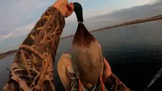 WISCONSIN PUBLIC LAND DUCK HUNTING 2022 (SHOTKAM)