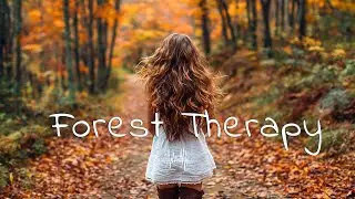 🌲 Плейлист Инди/Фолк/Поп | Лесная Терапия И Целебные Вибрации
