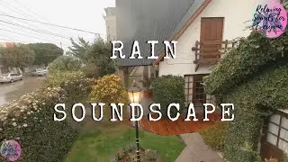 Rain sounds - Argentina Soundscape (no loop)