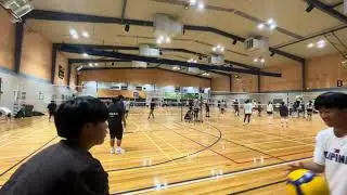 Harbor Social Volleyball Week One.