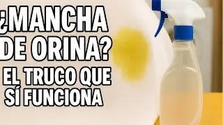 C&oacute;mo Sacar las Manchas de Orina en la Ropa R&aacute;pido y Sin Dejar Olor