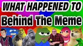 The Lasting Hatred for Behind The Meme