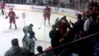 Texas Brahmas Maxwell the Enforcer
