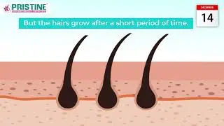 Shaving vs. Waxing vs. Laser Hair Removal: Understanding the Differences : Choosing the Best Method