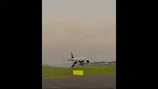 &ldquo;Airplane Walking on the Runway?! 😂✈️ #FunnyShorts&rdquo;