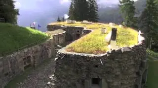 FORTE STRINO