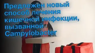Предложен новый способ лечения кишечной инфекции, вызванной Campylobacter