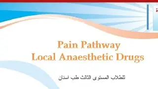 تكمله شرح pain pathway of local anesthesia