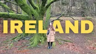 Dublin, Ireland | A Quiet Travel Film | Vlog (3 days in Ireland)