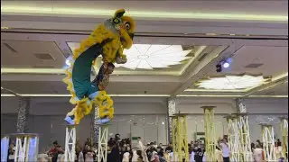 Tế Nam Thể Dục Hội | Mai Hoa Thung Lễ Khai Quang Tại Nh&agrave; H&agrave;ng | 2026.
