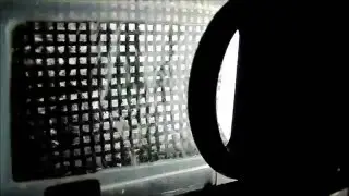 Algae scrubber screen with 1 sided flow