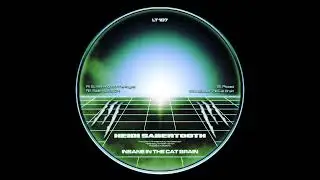 Heidi Sabertooth - Slide Into My [DM LT107]