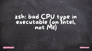 zsh: неправильный тип ЦП в исполняемом файле (на Intel, а не на M1)