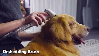 Pet Grooming Vacuum - High-Suction and Low-Noise Hair Removal