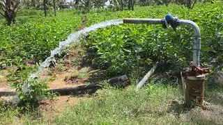 submersible water pump installation 10 hp pump 14stage 500 feet borewell motor installation 