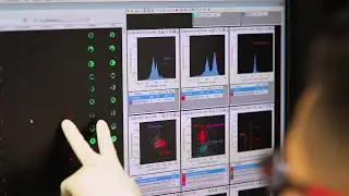New Method of Looking at Leukaemia Cells down to their Chromosomes