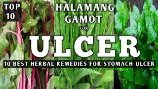 TOP 10 HALAMANG GAMOT PARA SA ULCER O SAKIT SA TIYAN/SIKMURA || ULCER NATURAL REMEDY #Naturer