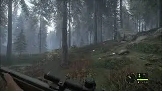 The Hunter: Call of the Wild - Bear attack