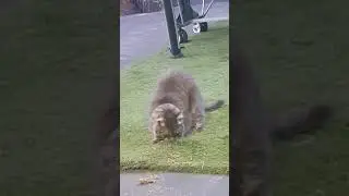 Skip does some wild shit