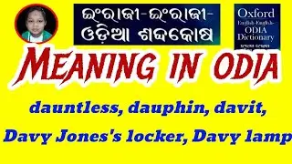dauntless, dauphin, davit, Davy Jones's locker, Davy lamp Meaning In Odia | Class 11 English Grammar