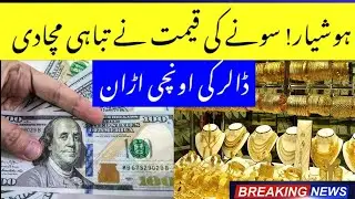 Gold and Dollar Price Increased Today |Latest Updates From Business World |Breaking News
