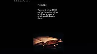 📖 Psalm 12:6 | #bibleverse #KJV #audiobible #bible #nomusic  ✝️