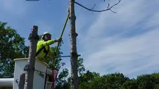 Maintaining a Safe and Reliable Electric Grid for Your Community