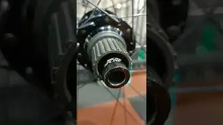 Micro Spline Rear Hub Serviced | Giant XCR Hub || Giant bicycle #shorts #shortsvideo #youtubeshorts