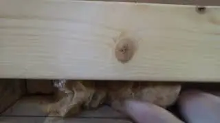 Building my tiny house chapter 15: Finishing utility room and make an isolated box for 1000 L tank