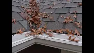 GutterDome of Seattle