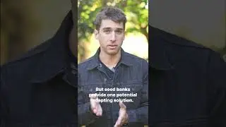 China’s Seedbanks | Kyle Obermann
