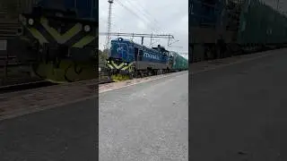 Unbelievable! 😲💨 The Timber Giant Passing the Station 🚆 #timbertrain #railway #europe  #shorts