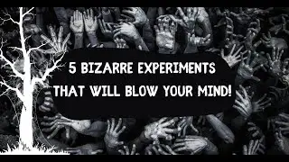 5 Bizarre Experiments That Will Blow Your Mind!